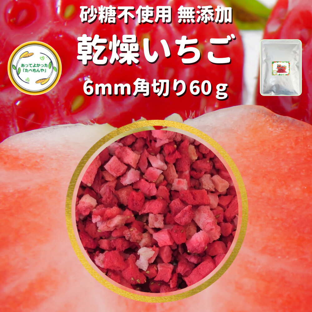 ＼先着限定クーポン配布 ／ ドライフルーツ 乾燥いちご 【6mm角切り品 60g 】 契約栽培 フリーズドライ製法 無添加 砂糖不使用 乾燥果物 ストロベリー 仕送り 常備果物 時短 お手軽 非常食 お…