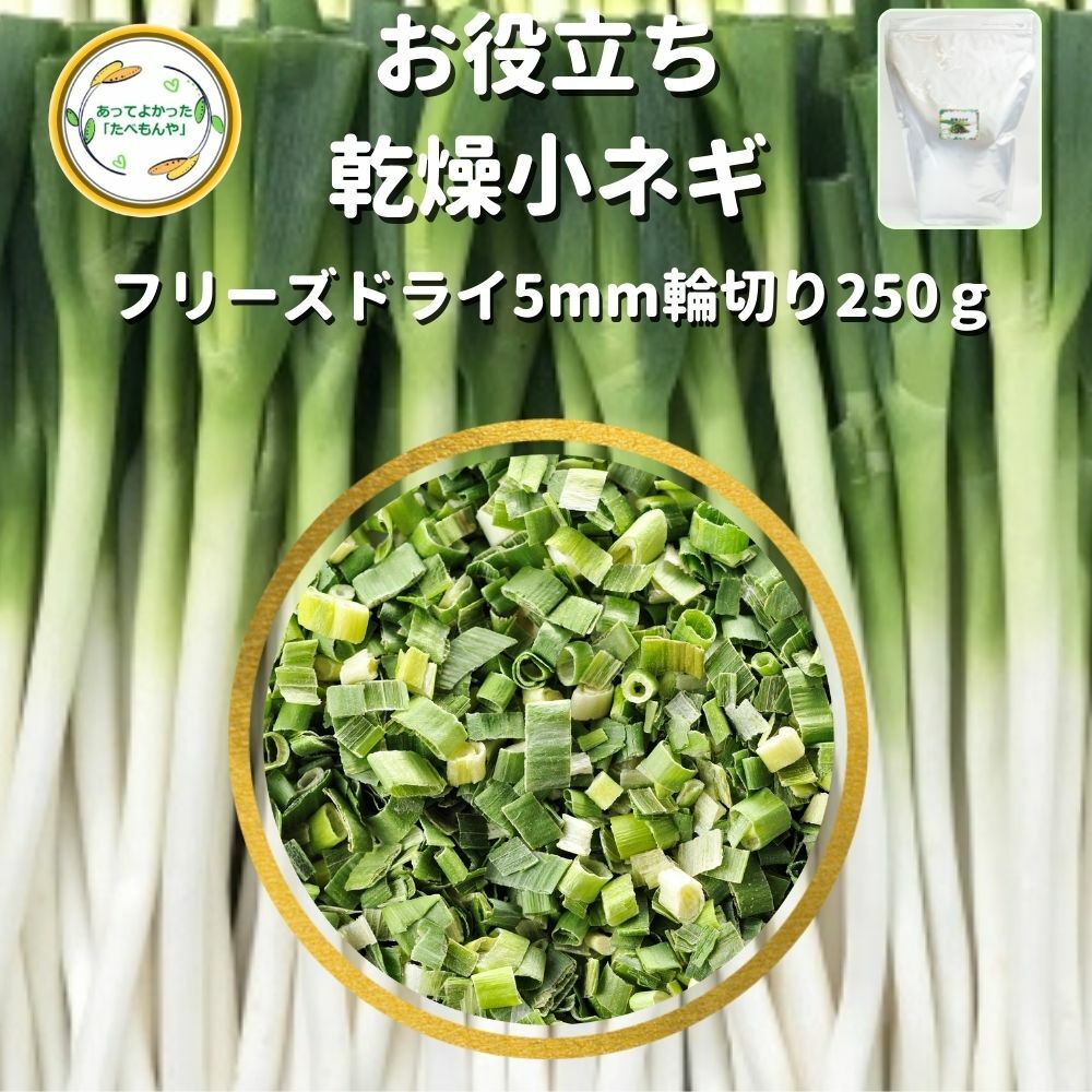 ＼先着限定クーポン配布！／ 乾燥野菜 乾燥こねぎ 5mm輪切り品 250g 契約栽培 フリーズドライ製法 仕送..