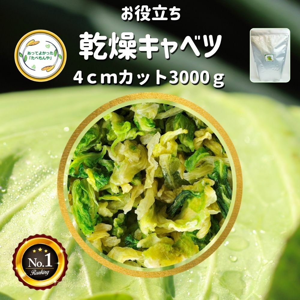 ＼先着限定クーポン配布 ／ 乾燥野菜 乾燥きゃべつ Lサイズ品 4cmカット 3Kg 契約栽培 エアードライ製法 送料無料 仕送り 一人暮らし 常備菜 時短 お手軽 非常食 即席みそ汁 業務用 *