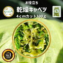 ＼先着限定クーポン配布！／ 乾燥野菜 乾燥きゃべつ Lサイズ品 4cmカット 100g 契約栽培 エアードライ製法 送料無料 仕送り 一人暮らし 常備菜 時短 お手軽 非常食 即席みそ汁 *