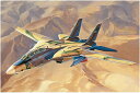 ホビーボス 1/48 イラン空軍 F-14A トムキャット プラモデル