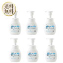 【ポイントバック祭当店ポイント最大+20倍】純せっけん洗顔泡タイプ 本体200ml 5個【シャボン玉石けん】
