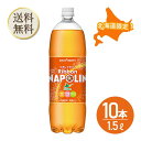 【買い物マラソン期間中当店ポイント最大+20倍】北海道限定 リボンナポリン(1.5L)10本