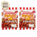 【まとめ買いがお得】ニッポンハム チキチキボーンの素 85g 2袋