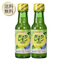 【5日限定当店ポイント最大+20倍】ポッカサッポロ ポッカレモン100 120ml ×2個