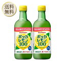 【まとめ買いがお得】ポッカサッポロ ポッカレモン100 450ml ×2個 ボトル