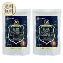 業務用 札幌スープカレー RICH 600g 2袋