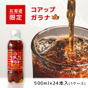 【まとめ買いがお得】北海道限定 小原 コアップガラナ 500ml×24本【1ケース】