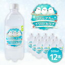 【レビュー特典】小原 シマエナガのホワイトガラナ ペットボトル 500ml×12本