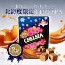 【北海道限定】 生食感 チェルシー バタースカッチ味 標準21粒入り(90g)2袋
