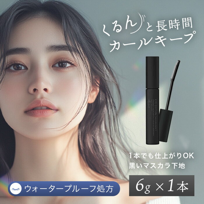 ettusais(エテュセ) アイエディション (マスカラベース) マスカラ下地 ウォータープルーフ処方 透明ブラック液 6g【レビュー特典】