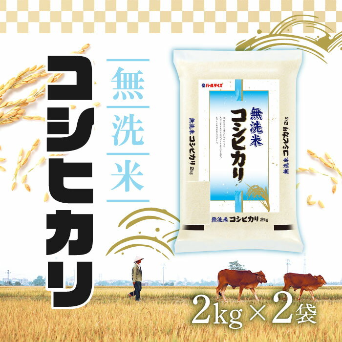 【15日限定2%オフクーポン有】ホクレン 無洗米 コシヒカリ 2kg ×2袋