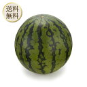 【楽天ショップオブザマンス受賞店舗】国内産 すいか 大玉 1個(4)