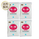 【楽天ショップオブザマンス受賞店舗】海の精 あらしお(赤ラベル) 500g ×4袋