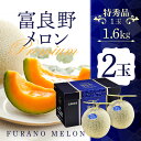 富良野メロンプレミアム(特秀品)1.6kg×2玉