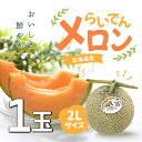 【レビュー特典】北海道産(地物)赤肉メロン(2Lサイズ) 1玉