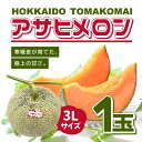 【レビュー特典】北海道産(地物)赤肉メロン(3Lサイズ) 1玉