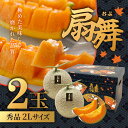 北海道など国内産 扇舞メロン 秀品 2Lサイズ 2玉 1箱