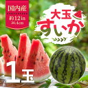 【楽天ショップオブザマンス受賞店舗】国内産 すいか 大玉 1個(4)