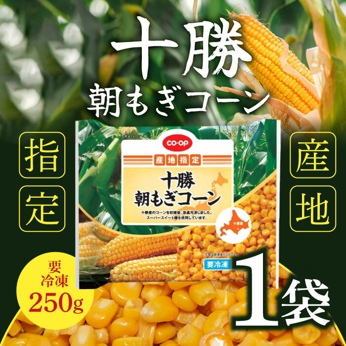 「冷凍便・保冷剤入りで安心お届け」 北海道フーズ 十勝 朝もぎコーン 250g(4)