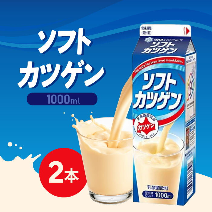 雪印メグミルク ソフトカツゲン 1000ml 2個 北海道限定「冷蔵便・保冷剤入りで安心お届け」