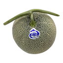 北海道産(地物)青肉メロン(3Lサイズ) 1玉