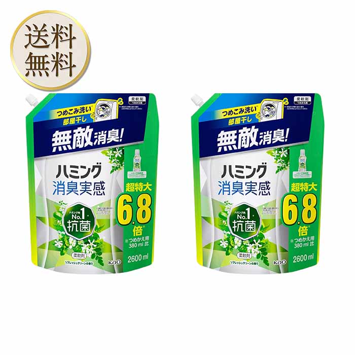 【大容量】ハミング消臭実感 柔軟剤 つめこみ洗いも、部屋干しも、無敵消臭！ハミング内No．1抗菌 リフレッシュグリーンの香り つめかえ用 2,600ml 2個