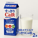 「冷蔵便・保冷剤入りで安心お届け」雪印メグミルク すっきりCa鉄 1000ml 2個|詳細画像