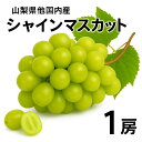 山梨県他国内産 シャインマスカット 1房