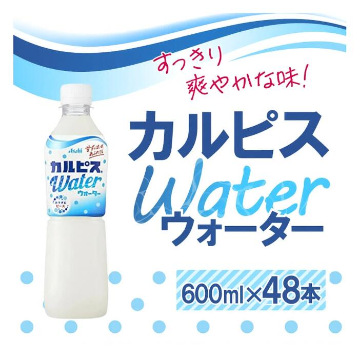 カルピス ジュース カルピスウォーター 500mlPET×48本入【2ケース】