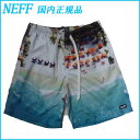 NEFF ボードショーツ  水着 海パン HOT TUB SHORT NEFF 