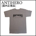 ANTIHERO Tシャツ SKATE CO. TEE  ティーシャツ TEEシャツ 半袖TEE スケートボードブランド