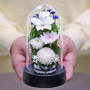 プリザーブドフラワー 仏花 法事 お供え花 仏壇用 小さな ブリザードフラワー モダン仏壇 ミニ ケース お彼岸 喪中はがき 花 供花 お花 枕花 お花 葬儀 ...