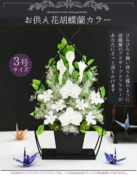 仏花 お供え花 【3号サイズ▲胡蝶蘭カラークリアケース付】 お供え プリザーブドフラワー仏花 ブリザードフラワー仏壇用 プリザーブドフラワー 法事 喪中はがき お悔やみ 初盆 新盆 通夜 葬儀 告別式 枕花 お彼岸 法要 弔電 電報 仏事 【送料無料】【あす楽対応_関東】