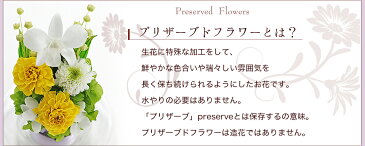 仏花 新盆 【お供え花ドーム】 お供え花 お供え 法事 仏壇用 プリザーブドフラワー ブリザードフラワー 仏花 お彼岸 喪中はがき 花 供花 お悔やみ 初盆 枕花 通夜 葬儀 告別式 法要 弔電 電報 仏事 送料無料【あす楽対応_関東】