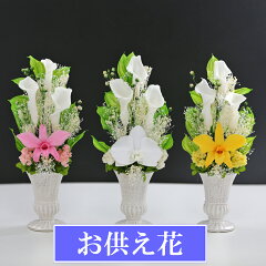 https://thumbnail.image.rakuten.co.jp/@0_mall/a4s/cabinet/02555630/rankara/1000-1000-6511.jpg