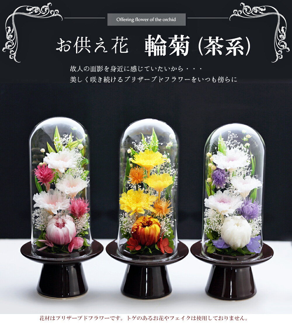 初盆 新盆 プリザーブドフラワー 仏花 【輪菊 ガラス ドーム 】ガラスドーム 菊 キク カスミソウ アジサイ 法事 お供え花 お供え 仏壇用 仏壇 ケース お彼岸 喪中はがき 花 供花 お悔やみ 新盆 お花 枕花 おそなえ 葬儀 告別式 法要 弔電 電報 送料無料 【あす楽対応_関東】