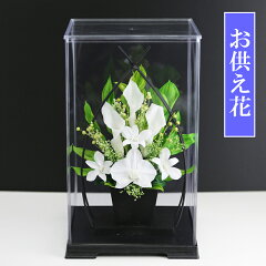 https://thumbnail.image.rakuten.co.jp/@0_mall/a4s/cabinet/mein2/o1000-1000-4988.jpg