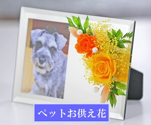 【フォトミラー】ペット お悔やみ のお花 犬 猫 写真立て 鏡 ミラー フォトスタンド 仏壇用 プリザーブドフラワー 仏花 法事 お供え花 お花 ブリザードフラワー 初盆 お花 供花 新盆 花 おそなえ 御供 法要 仏事 仏壇 命日 バラ ピンク ブルー 【あす楽対応_関東】送料無料