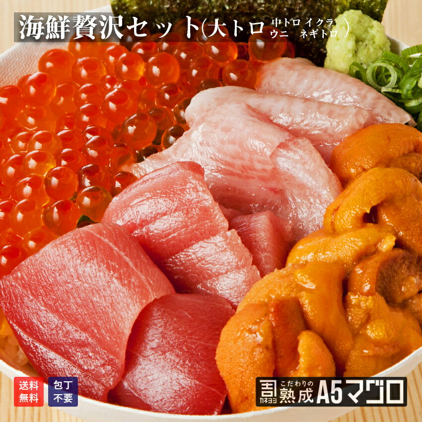 マグロのカネヨシ 送料無料 海鮮贅沢 福袋セット(大トロ100g ウニ100g イクラ80g 旬のまぐろ中落ち赤身100g ネギトロ100g) 合480g お取り寄せグルメ 敬老ギフト 海鮮丼 大トロ 赤身 お正月 刺身 まぐろ 鮪 福袋 海鮮セット 海鮮