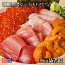 マグロのカネヨシ 送料無料 海鮮贅沢 福袋セット(大トロ100g ウニ100g 