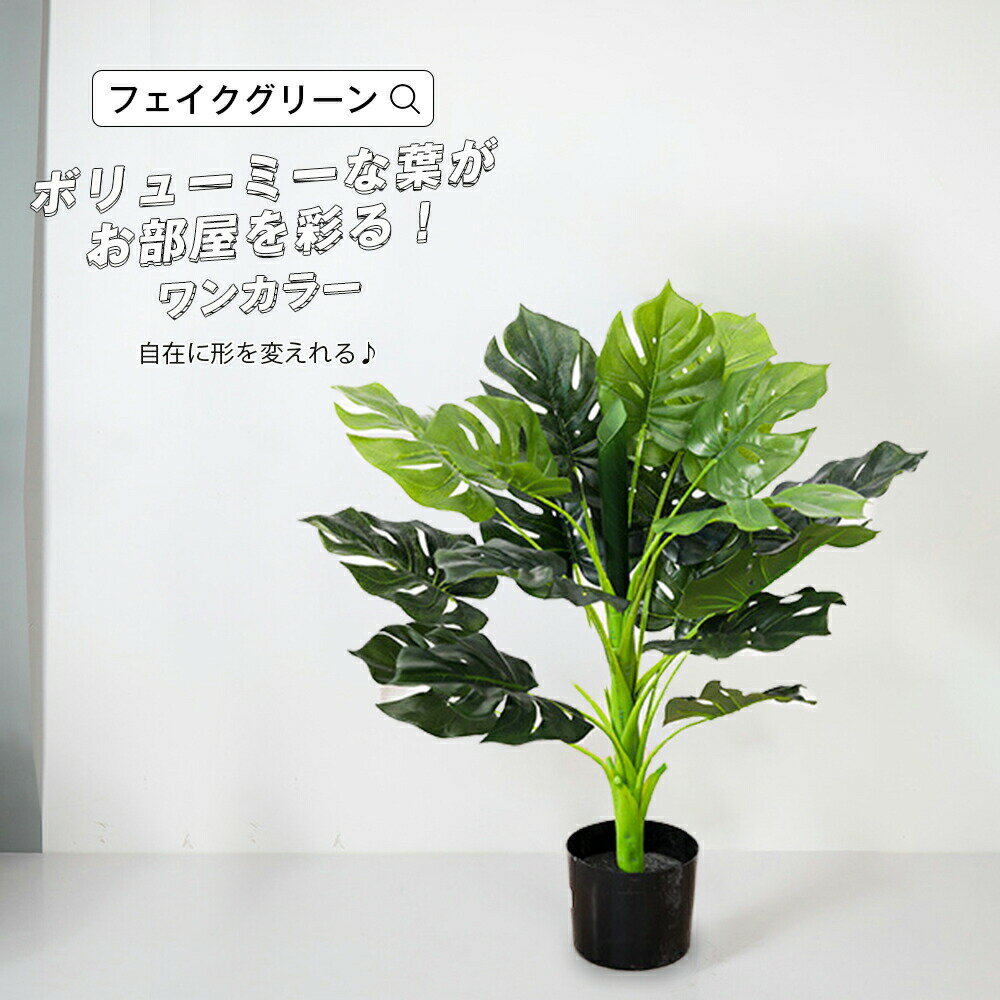 �ե��������꡼�� �͹����տ�ʪ ���տ�ʪ ���ռ� ¤�� ��󥹥ƥ� �������� ȭ�� �ե����� ���꡼�� ����ƥꥢ ������� CT���� ���ˤ� ����ץ� ���ե��� ������� ����ƥꥢ �緿 ���� ȭ ���ռ� �⤵75 ������RSL