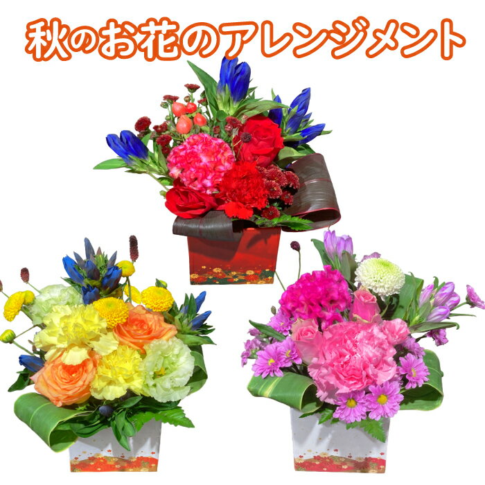 秋の花 秋 花 ギフト 生花 アレンジメント リンドウ 孫 プレゼント 秋のお花 男性 女性 おじいちゃん おばあちゃん 全国送料無料 ラッピング無料 お祝い 敬老の日 ギフト 記念日のサムネイル