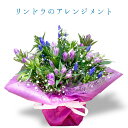 花 リンドウ りんどう 竜胆花 秋 敬老の日アレンジメント アレンジ ラッピング無料 お祝い 誕生日 開業祝い 移転祝い 昇進 就任 還暦 ギフト プレゼント お花のプレゼント