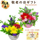 敬老の日 花 敬老会 老人ホーム プレゼント お花 敬老の日お祝い会フラワーギフト ミニアレンジメント お花 ギフト アレンジメント リンドウ 秋のお花 男性 女性 おじいちゃん おばあちゃん お祝い 敬老の日 ギフト 記念日