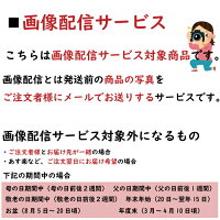 送料無料 バラの花束 40本 お祝い 記念日 告白 大振りな赤バラを贅沢に40本使った情熱的な花束です 定番ならではの魅力があり どなたに贈られても必ず喜ばれます プロポーズ ラッピング無料 結婚祝い 本 結婚 誕生日 レッド 記念日 ギフト 赤 ピンク オレンジ 送料無料 バラの花束 40本 お祝い 記念日 告白 大振りな赤バラを贅沢に40本使った情熱的な花束です 定番ならではの魅力があり どなたに贈られても必ず喜ばれます プロポーズ ラッピング無料 結婚祝い 本 結婚 誕生日 レッド 記念日 ギフト 赤 ピンク オレンジ