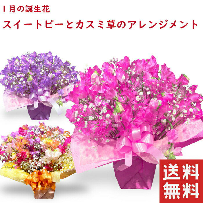 スイートピー 20本 アレンジメント 50本 スイートピー 花束 生花スイトピー 生花 送別 お花 春 プレゼント 贈り物 誕生日 誕生日プレゼント かすみ草 女性 母 祖母 義母 女友達 男性 父 花 誕生日 お祝い フラワー ギフト お誕生日 お花 米寿 古希 還暦 喜寿 祝い