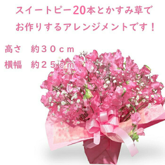 スイートピー 20本 アレンジメント 50本 スイートピー 花束 生花スイトピー 生花 送別 お花 春 プレゼント 贈り物 誕生日 誕生日プレゼント かすみ草 女性 母 祖母 義母 女友達 男性 父 花 誕生日 お祝い フラワー ギフト お誕生日 お花 米寿 古希 還暦 喜寿 祝い