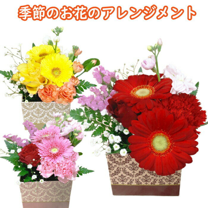 お花 ギフト 花 ミニアレンジメント 1500円 ミニギフト 小さい 卒園 卒業 送別 昇進 誕生日 女性 女性用プレゼント ピンク パープル 花ギフト フラワー アレンジメント ボックス お祝い 可愛い 還暦 ギフト お花の プレゼント