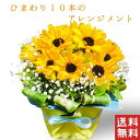 父の日 花 ひまわり 10本アレンジメント 生花 父の日 プレゼント 送別 贈り物 誕生日 誕生日プレゼント かすみ草 女性 母 祖母 義母 女友達 男性 父 花 誕生日 お祝い フラワー ギフト お誕生日 お花 米寿 古希 還暦 喜寿 祝い 還暦祝い 誕生日ギフト